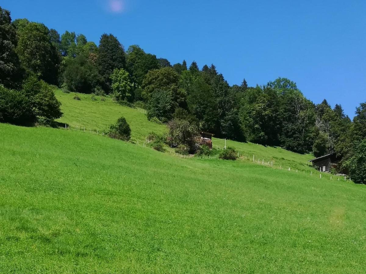 Maurer * Niederau