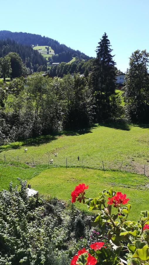 Appartement Maurer *